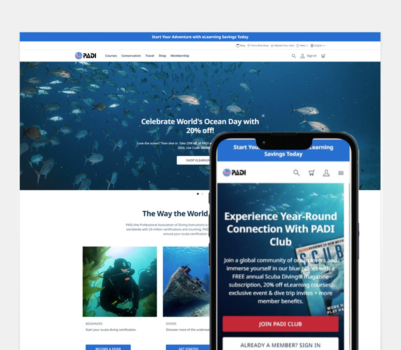 Padi